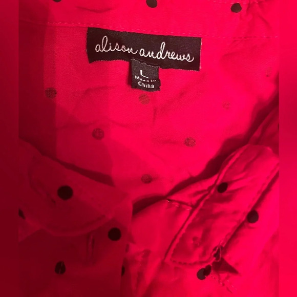Alison Andrew’s red with black polka dots 100% rayon blouse, size Large - Picture 2 of 5
